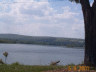 thm_PICT0093.gif