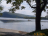 thm_PICT0095.gif