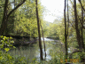 thm_PICT0096.gif