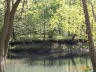 thm_PICT0098.gif