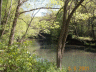 thm_PICT0099.gif
