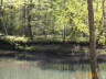 thm_PICT0100.gif