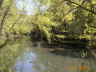 thm_PICT0102.gif
