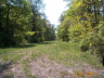 thm_PICT0103.gif