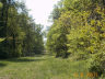 thm_PICT0104.gif