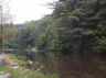 thm_DCP00757.gif