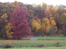 thm_PICT2205.gif