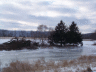thm_DCP00605.gif