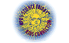 1sole03.gif (7238 bytes)