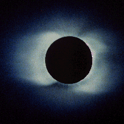 1solefoto10.gif (41463 bytes)