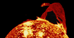 1solefoto11.gif (18242 bytes)