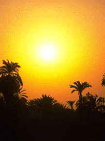 1solefoto12.gif (35254 bytes)