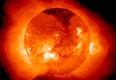 1solefoto13.gif (7325 bytes)
