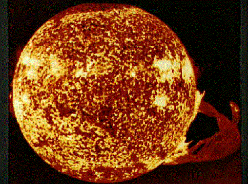 1solefoto14.gif (84383 bytes)