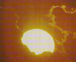 1solefoto18.gif (14491 bytes)
