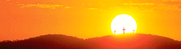 1solefoto8.gif (15621 bytes)