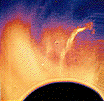 1solefoto9.gif (8354 bytes)