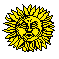 sun035.gif (604 bytes)