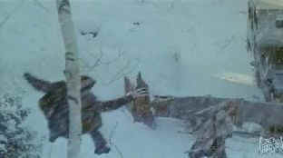 Wolverine