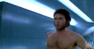 Wolverine