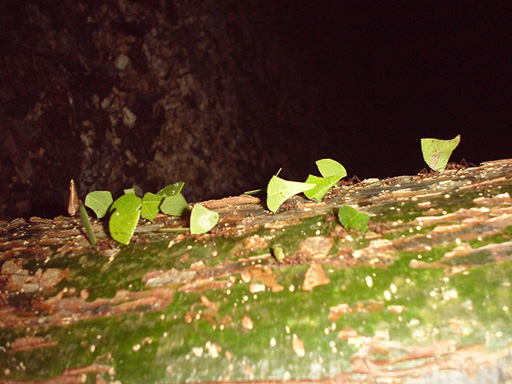 DSC00214