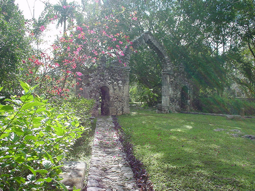 DSC00229