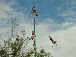 DSC00241