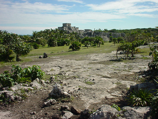 DSC00242