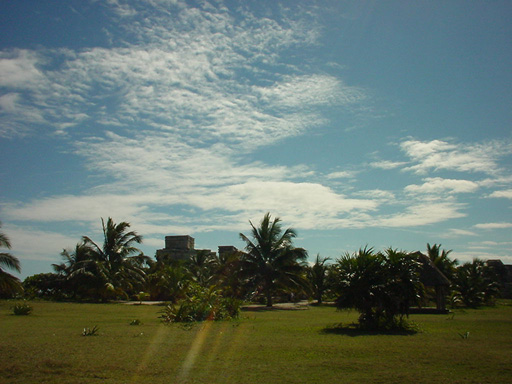 DSC00243