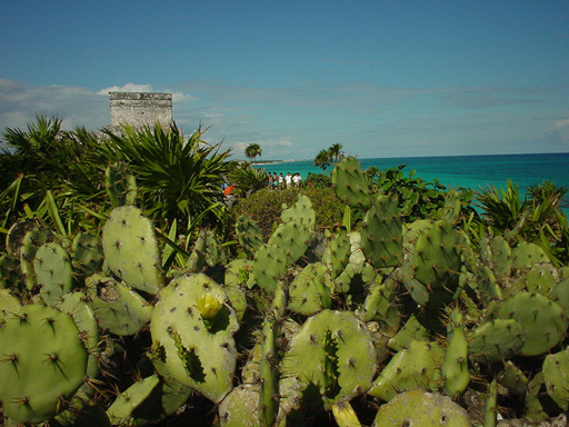 DSC00250