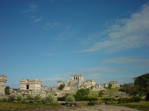 DSC00257