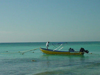 DSC00268