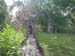 DSC00229