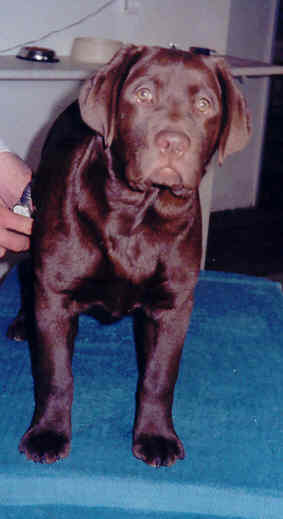 Grooming is a good thing, not as important as food but a close second.....