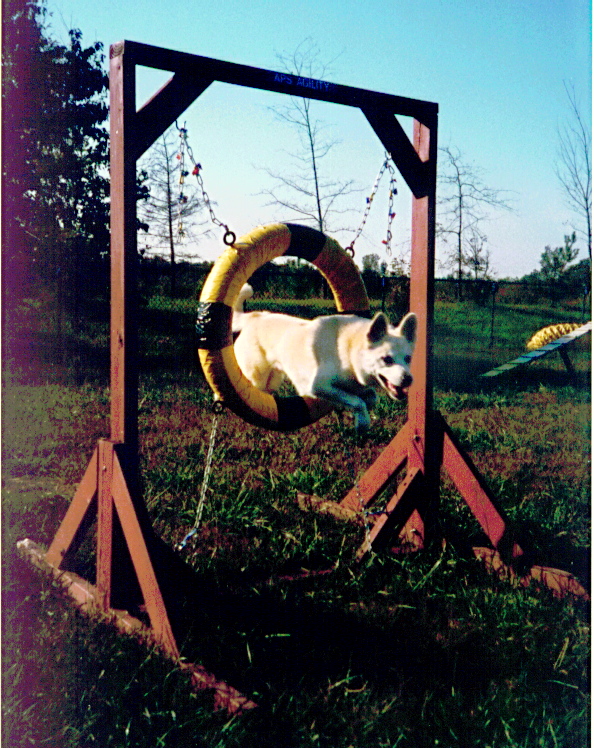 The Tire Jump