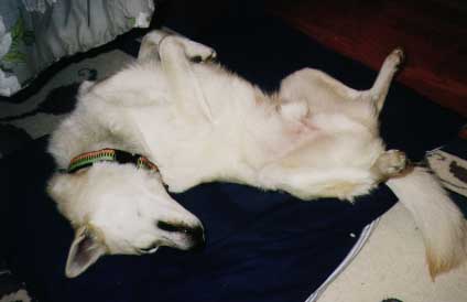snoozin'