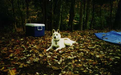 At the campsite