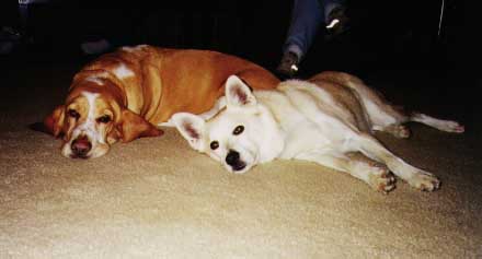 Settled Down