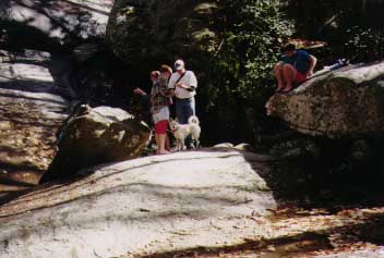 at the watefall