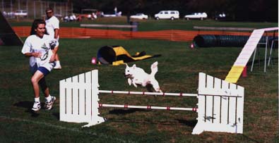 Sprout on Course