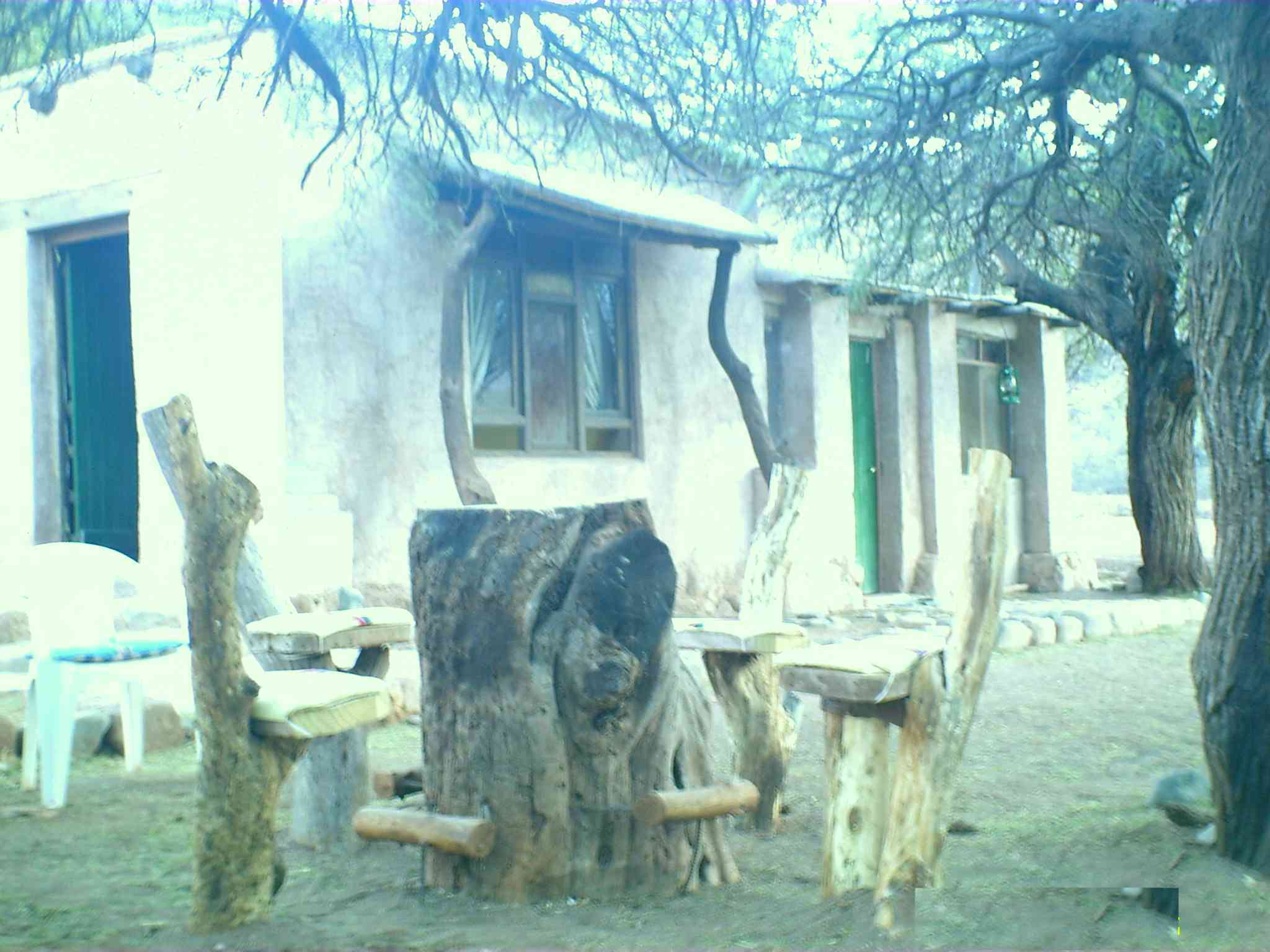 el patio sombreado con diez algarrobos a�osos...para disfrutar las sombras...el silencio y el entorno maravilloso de los paisajes...