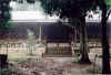 pic_resort2.jpg (66074 bytes)