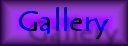 Go to the Gallery!
