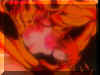 urot2-18.jpg (12267 bytes)