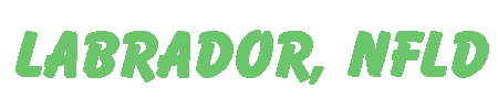 logo-white