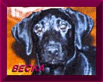 Becka