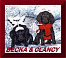 Becka and Clancy