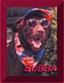 Bubba