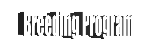 Breeding Program