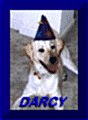 Darcy